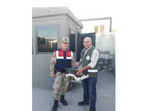 Gevaş’da 3 kınalı keklik ele geçirildi