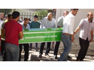 Hafif ticari aracın çarptığı kadın öldü