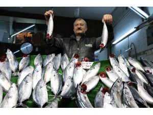 "Bu sezon balıkçılarımıza yaradı"
