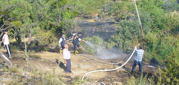 Konya'da sit alanında yangın