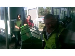 Düğün magandası kurşunuyla ölüme 4 gözaltı
