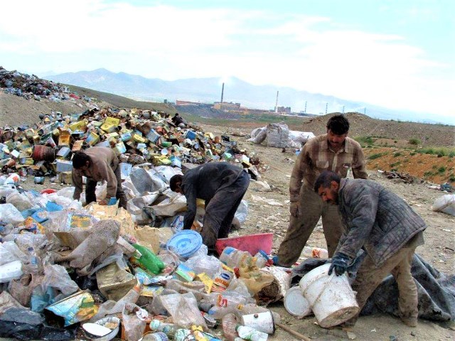 Şehir çöplüğünden hayatlarını kazanıyorlar