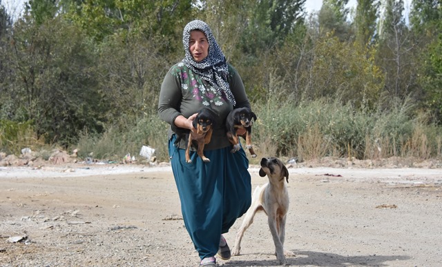 15 yıldır sokak hayvanlarına bakıyor