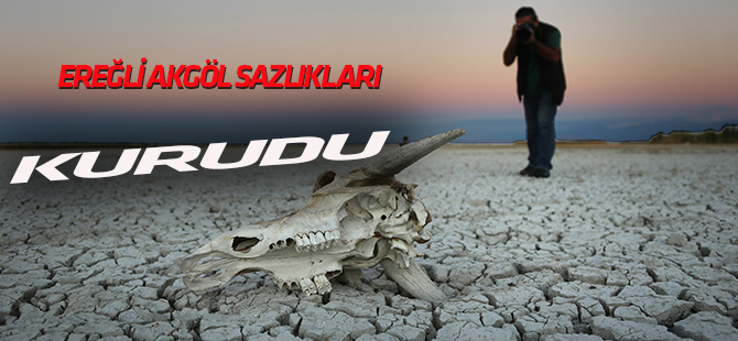 Ereğli Akgöl Sazlıkları kurudu