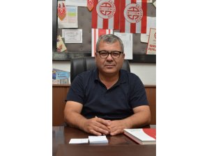 Sera üretimi, domates fiyatlarını düşürecek