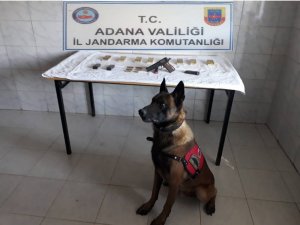 "Konfor" ruhsatsız tabanca buldu
