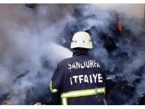 Şanlıurfa’da çiftlikte çıkan yangın korkuttu