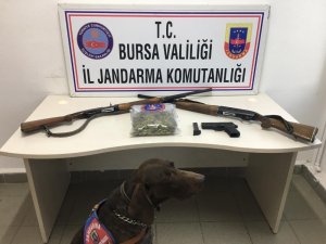 Jandarmadan çiftliğe uyuşturucu baskını
