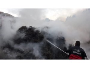 Van’da 12 bin bağ ot kül oldu