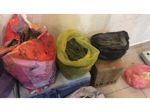 Polatlı Emniyet Müdürlüğünden uyuşturucu operasyonu