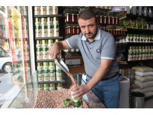 Siirt fıstığı rekora koşuyor