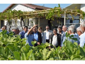 Yuntdağı Yunusemre ile kalkınıyor