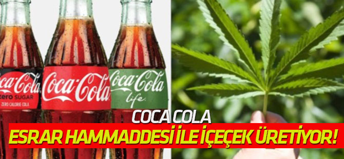 Coca Cola esrar hammaddesi ile içeçek üretiyor!