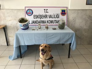 Eskişehir jandarması suçlulara göz açtırmıyor