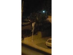 Direğe tırmanıp güvenlik kamerasını çaldı