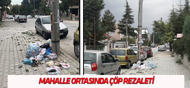Mahalle ortasında çöp rezaleti