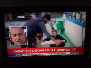 Vali Balkanlıoğlu Pamukova’da incelemelerde bulundu