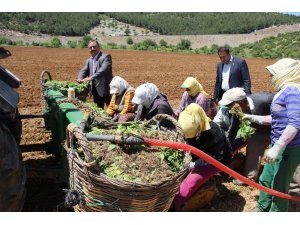 Baştuğ, “Çiftçilerimize zirai alet hibe desteği şart”