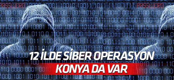 Siber polisten 12 ilde operasyon: 34 gözaltı