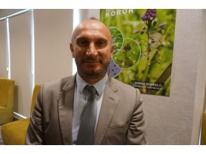 Edirne Sümbülü turizme kazandırılacak