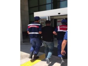 Büyükbaş hayvan hırsızları tutuklandı