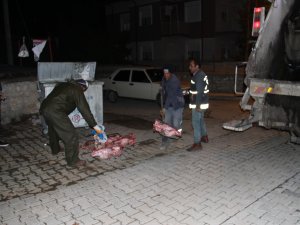 At kesildiği şüphesi tedirgin etti