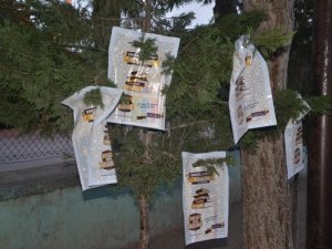 Ereğli'de ağaçlar kitap açtı