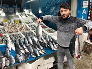 Denizdeki bereket sofraya yansıyor