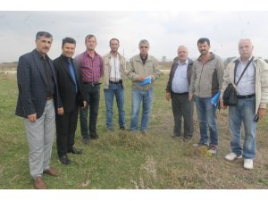 Meraların ıslahı için etüt çalışmalarına başlandı