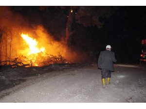 Antalya’da orman yangını