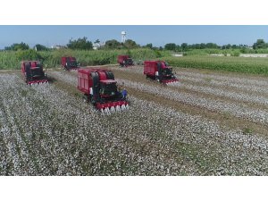 Pamuğun kilo fiyatı 3.80 TL olarak açıklandı