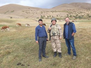 Jandarma ekipleri hayvan hırsızlarına göz açtırmıyor