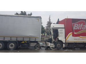 Kazada yaralanan tır sürücüsü hayatını kaybetti