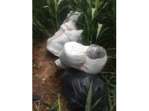 Şanlıurfa’da 172 kilo esrar maddesi ele geçirildi