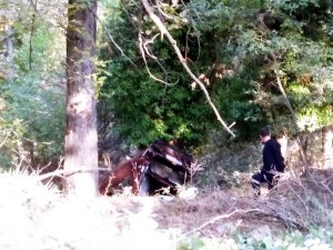 Manisa’da otomobil 30 metrelik uçuruma yuvarlandı
