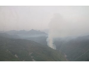 Hatay’da orman yangını
