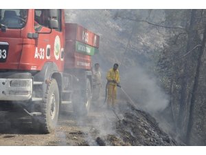 Hatay’da orman yangını sürüyor