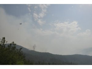 Hatay'daki orman yangını