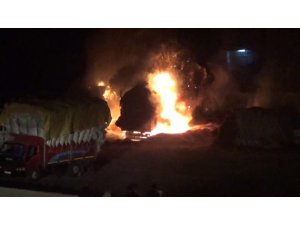Park halindeki saman yüklü 2 kamyon yanarak küle döndü