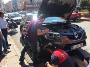Araba kaputuna giren yavru kedi itfaiyecileri terletti