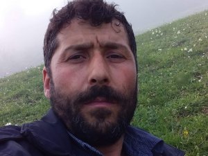 Üzerine ağaç devrilen şahıs hayatını kaybetti
