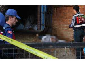 Bakıcısını feci şekilde öldürdü