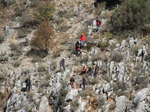 Derebucak'ta lavanta fidanı dikme etkinliği