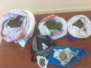 Edirne’de uyuşturucu ticareti yapanlara operasyon