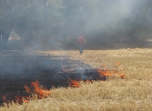 Yangın zamanı sakla samanı!
