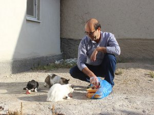 Yolunu gözleyen kedileri ciğerle besliyor