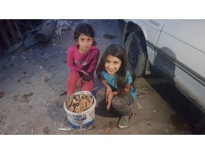 Kanlıca mantarı revaçta