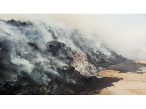 Sigara izmariti 3 bin balya samanı kül etti