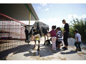 Anaokulunda çiftlik hayatı