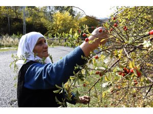 Yeniden üretime geçen fabrika yöre halkının yüzünü güldürdü